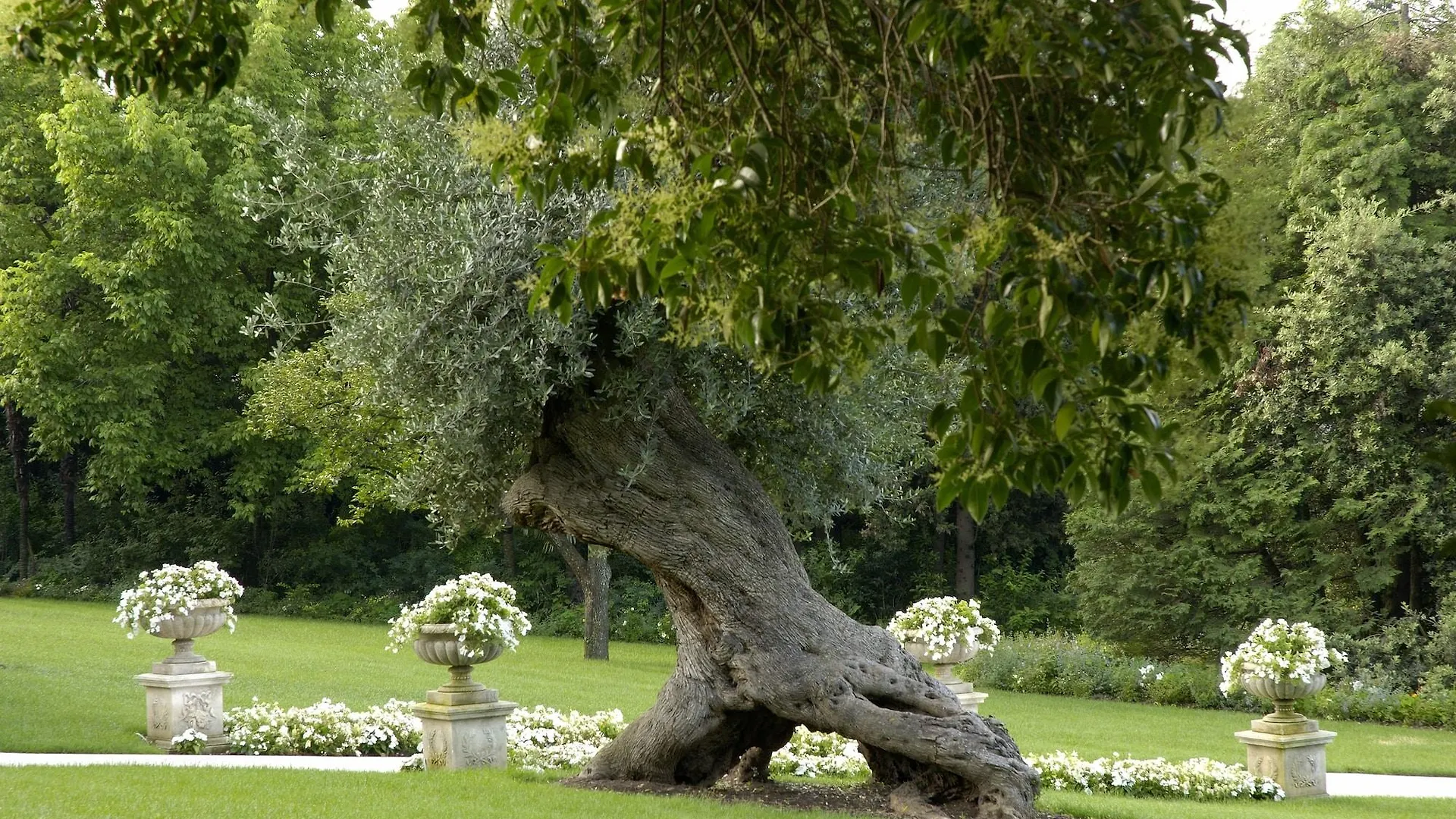 Byblos Art Hotel Villa Amista Сан-Пьетро-ин-Карьяно 5*,